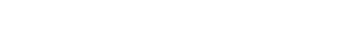 SalesManago partner