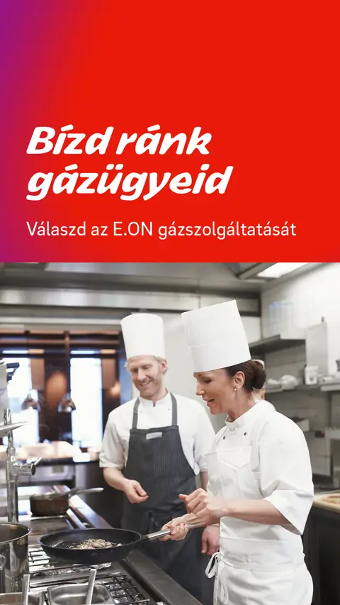 E.ON: Bízd ránk gázügyeid