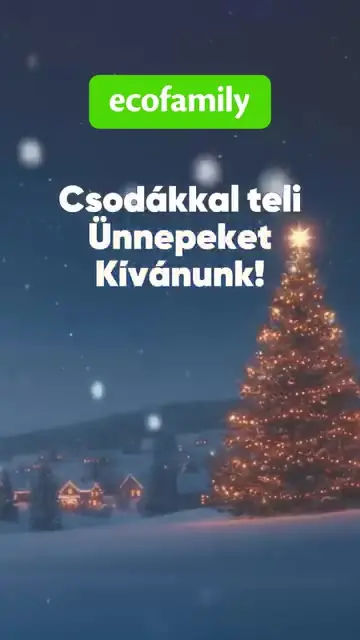 Ecofamily: Csodákkal teli ünnepeket, animált videó
