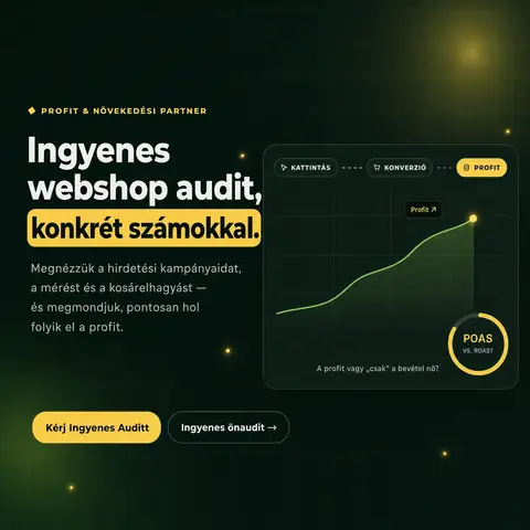 Markestic: Profit Diagnózis, dark SaaS-stílus