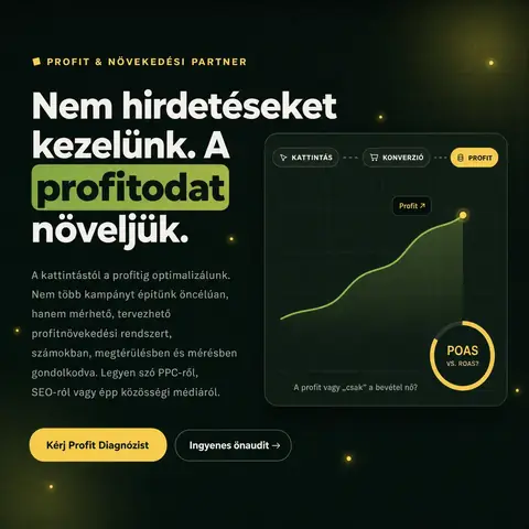 Markestic: Profit Diagnózis, dark SaaS-stílus