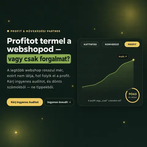 Markestic: Profit Diagnózis, dark SaaS-stílus